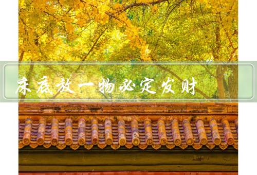 床底放一物必定发财（金元宝／钱袋／招财猫）