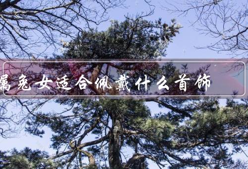属兔女适合佩戴什么首饰，精致项链、细腻耳环、简约手链