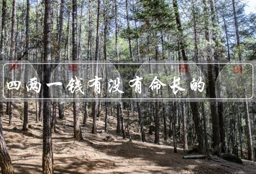四两一钱有没有命长的（贫富与健康／心态与命运／努力与机遇）