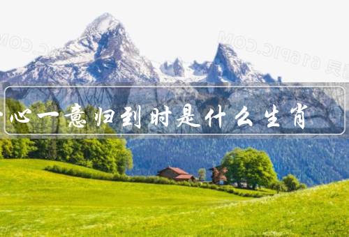 一心一意归到时是什么生肖，性格特点、一心一意归到时意义
