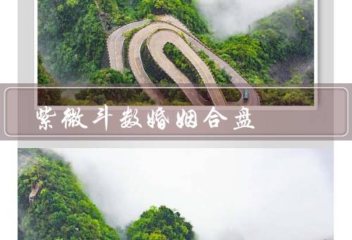 紫微斗数婚姻合盘