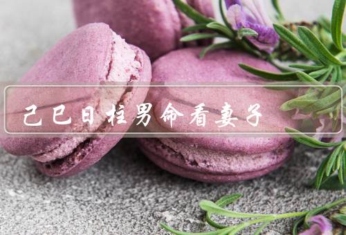 己巳日柱男命看妻子，妻子特点／对待妻子的态度／婚姻生活的建议