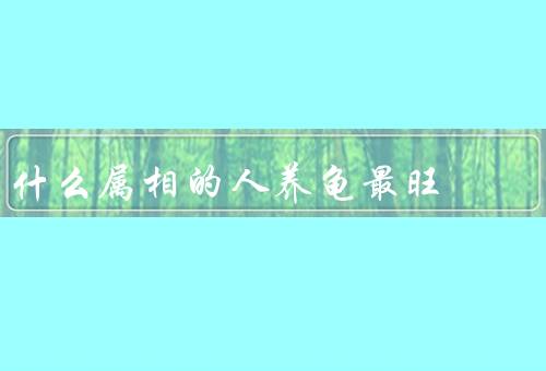 什么属相的人养龟最旺（属鼠的人最旺龟／属龙的人最旺龟）