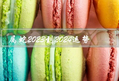 属蛇2023到2024运势（事业运势／财运／人际关系）