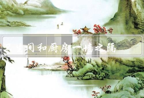 卫生间和厨房一墙之隔风水（水和火的属性、卫生间和厨房的布局）
