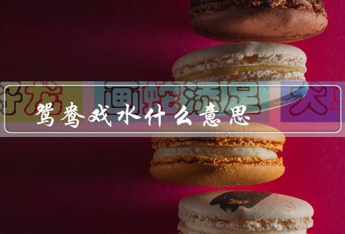 鸳鸯戏水什么意思