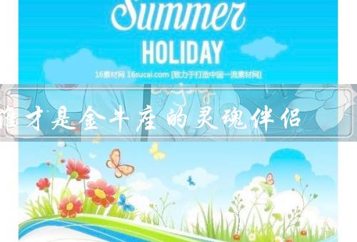 谁才是金牛座的灵魂伴侣，忠诚稳定／分享共同兴趣／支持和包容