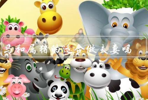 属马和属猪的适合做夫妻吗，性格特点／兴趣爱好／生活习惯