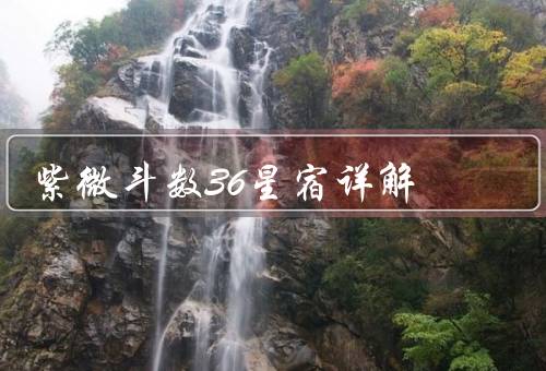 紫微斗数36星宿详解，天府／天相／天梁