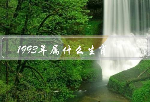 1993年属什么生肖，特点／运势／发展机遇