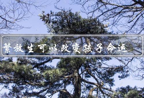 频繁放生可以改变孩子命运，意义、影响、实践