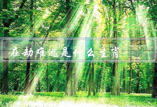 在劫难逃是什么生肖（鼠／虎／狗）
