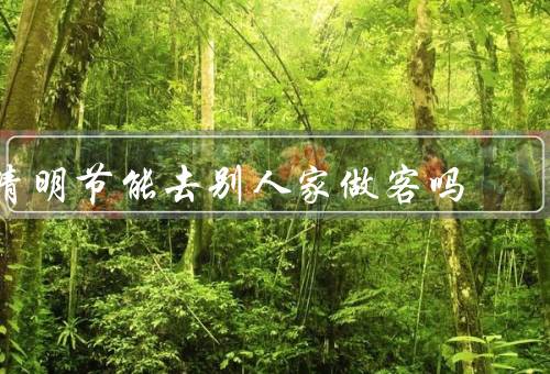 清明节能去别人家做客吗（传统习俗／尊重他人感受／重视个人安全）