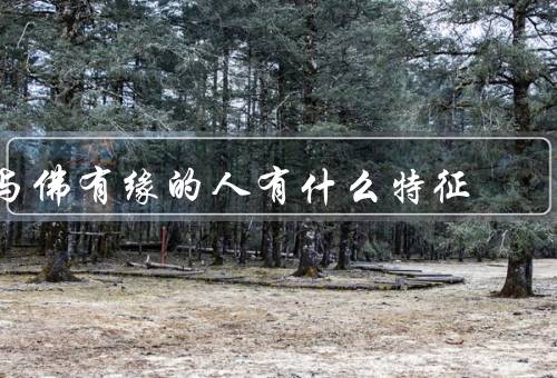 与佛有缘的人有什么特征（心灵纯净无杂念、善良慈悲心）