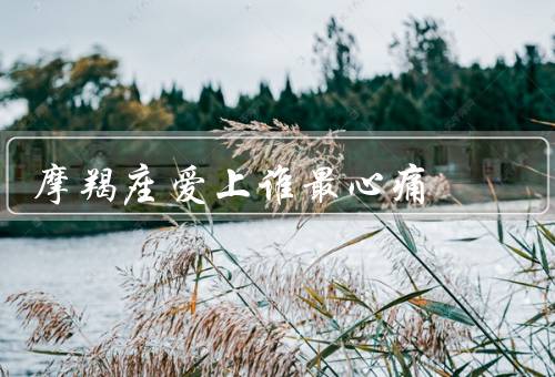 摩羯座爱上谁最心痛，自私的人、不负责任的人、不珍惜的人
