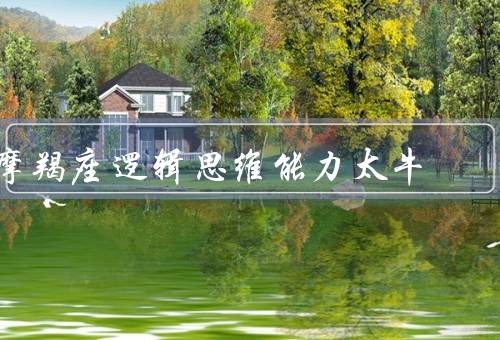 摩羯座逻辑思维能力太牛（思维严谨／分析问题）