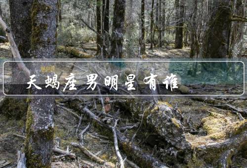 天蝎座男明星有谁，李敏镐／周杰伦／汤姆·哈迪