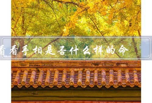 看看手相是否什么样的命（命运／性格／健康）