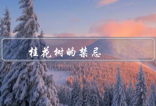桂花树的风水禁忌，卧室／厨房／门口