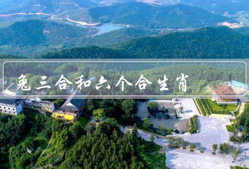 兔三合和六个合生肖（兔三合、六个合、结语）