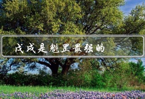 戊戌是魁罡最强的