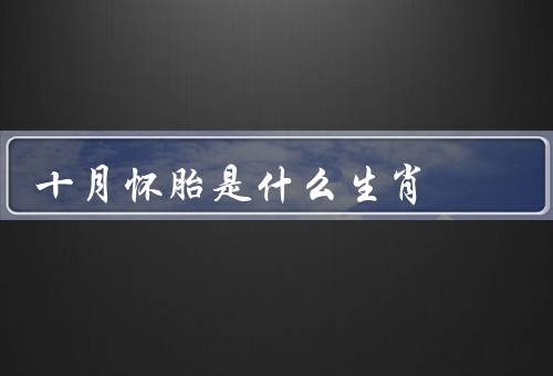 十月怀胎是什么生肖（十月怀胎是什么生肖、母爱的伟大）