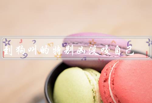 梦到狗叫的特别凶没咬自己（狗的象征意义／梦境的解读）