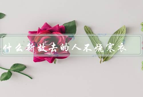 为什么新故去的人不烧寒衣（新故去的人已经离开尘世）