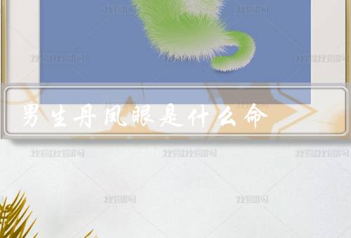 男生丹凤眼是什么命，特征／命运特点／个性特点