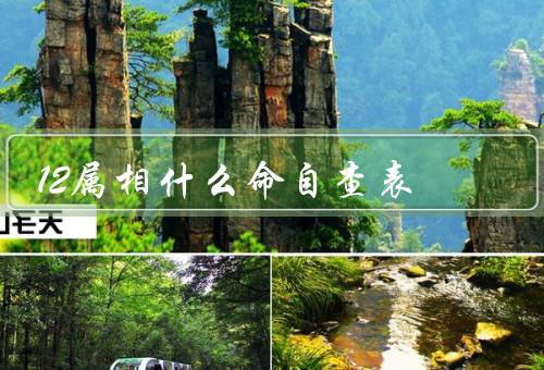12属相什么命自查表，鼠、牛、虎