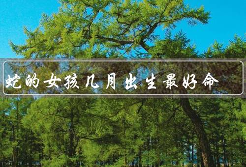 属蛇的女孩几月出生最好命（春季出生：机智聪明）