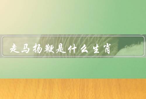 走马扬鞭是什么生肖，走马扬鞭／特点／运势
