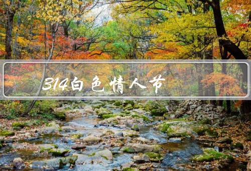 314白色情人节，起源／庆祝方式／意义