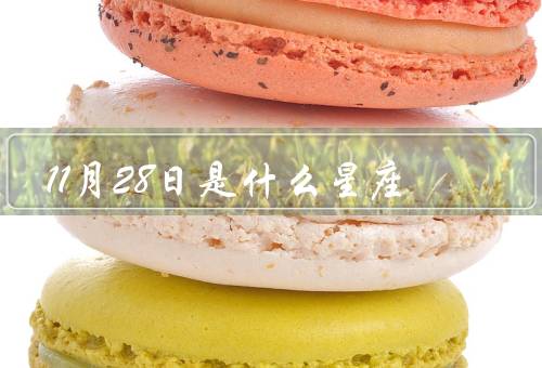 11月28日是什么星座（特点／人际关系／爱情观）