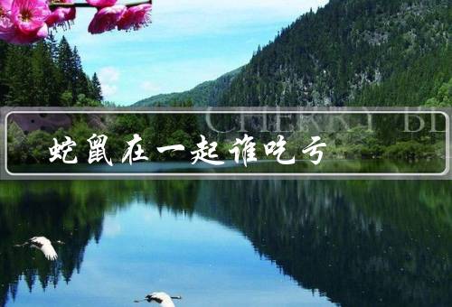 蛇鼠在一起谁吃亏（蛇的优势／鼠的优势／谁吃亏？）