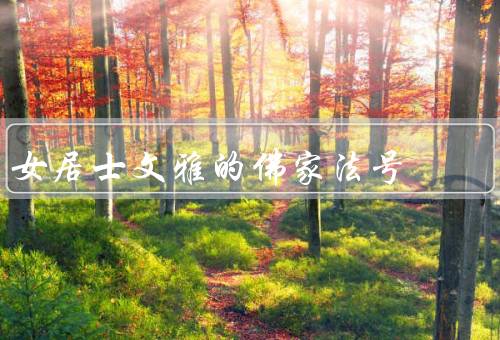 女居士文雅的佛家法号（之道／文雅之美／成果）