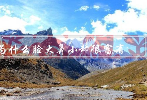 为什么脸大鼻小却很富有（基因／教育／机遇）