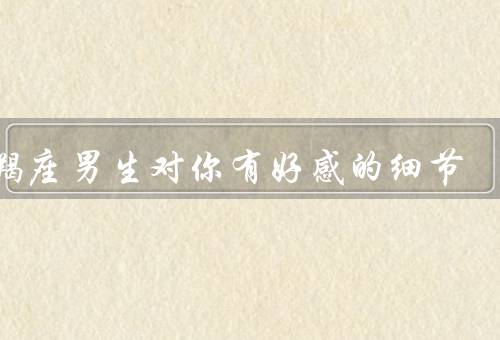 摩羯座男生对你有好感的细节