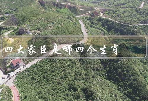 四大家臣是哪四个生肖（鼠／虎／龙）