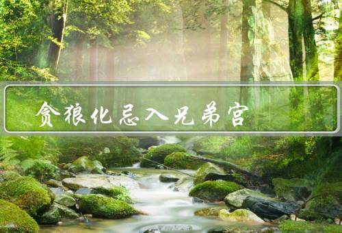 贪狼化忌入兄弟宫，内心矛盾、人际关系复杂、寻求平衡