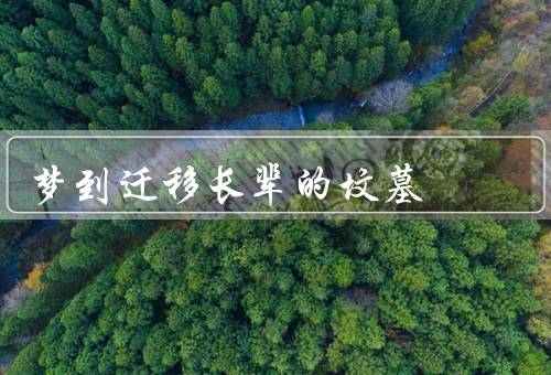 梦到迁移长辈的坟墓