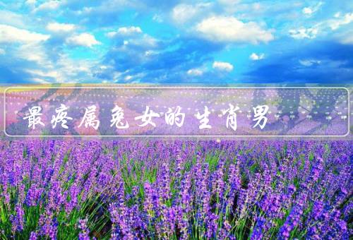最疼属兔女的生肖男