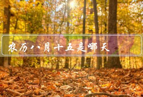 农历八月十五是哪天（起源、习俗、其他活动）