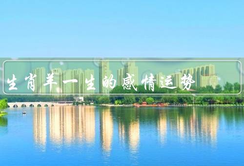生肖羊一生的感情运势，感情波动较大／主动追求